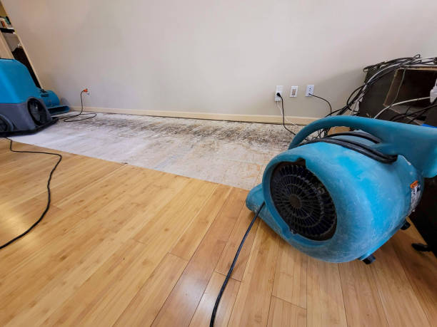 Professional Emergency Water Damage technician working in Germantown, OH